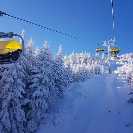 Biala Perla Sunny Mountain 602 * Sienna (Klodzko)