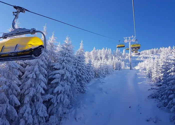 Biala Perla Sunny Mountain 602 * Sienna (Klodzko)